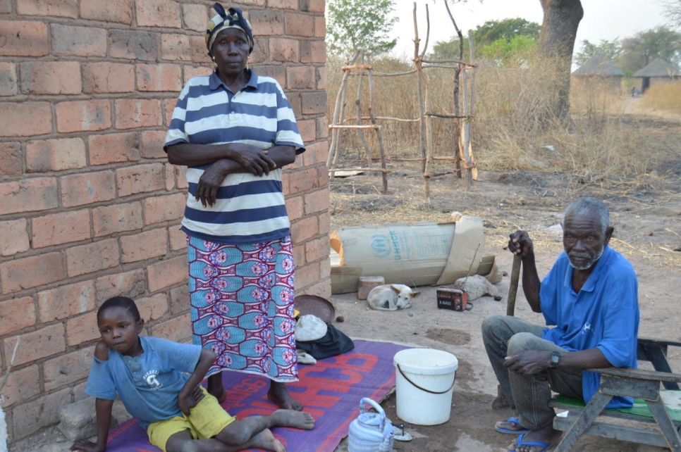 Chad. Unprecedented levels of displacement from Central African Republic