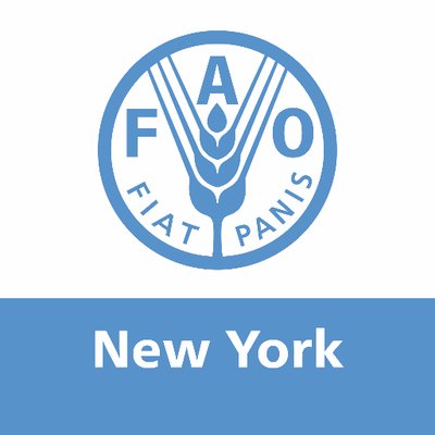 FAO in New York