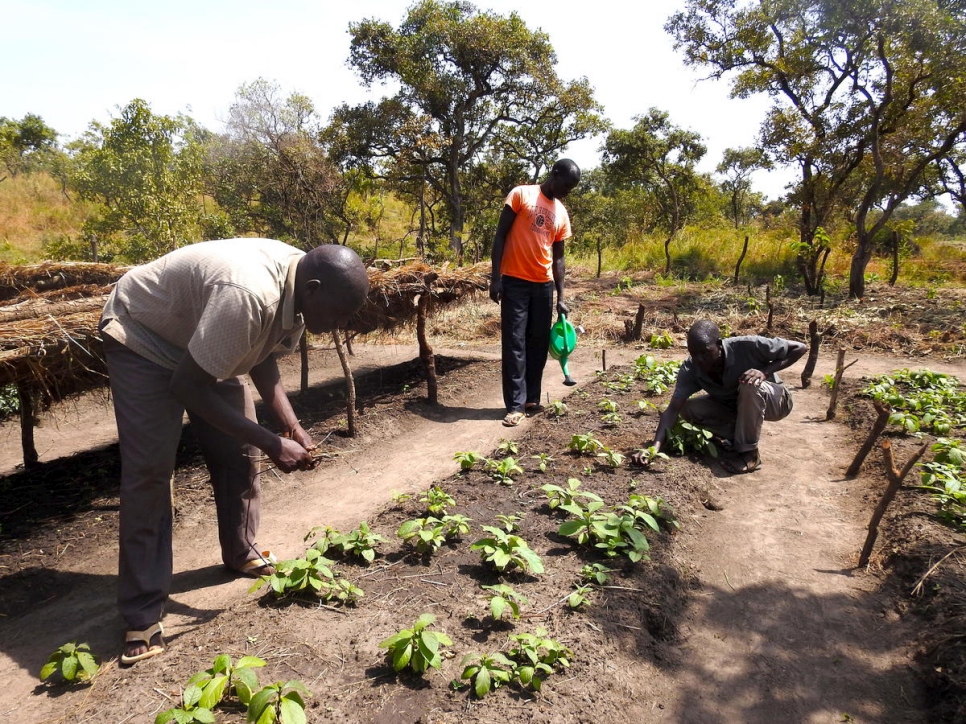 Refugees from South Sudan tend a bed of neem and teak saplings in a tree nursery in the Palabek refugee settlement in northern Uganda.