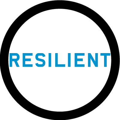 100 Resilient Cities