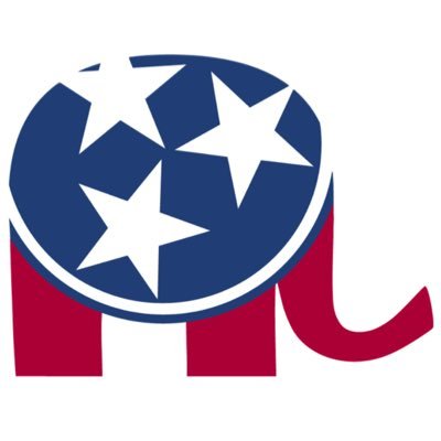 TNGOP