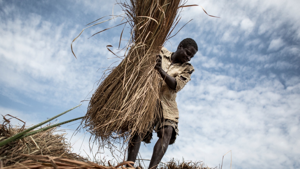A Central African refugee constructs a roof for his new house.
