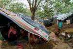 Rohingya refugees from Myanmar shelter under tarpaulin sheets in muddy conditions at an informal settlement for new arrivals, near Kutupalong camp in Bangladesh.