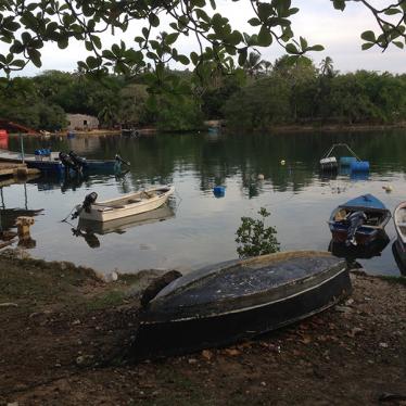 Tribunal reconoce el derecho a un medio ambiente saludable en las Américas