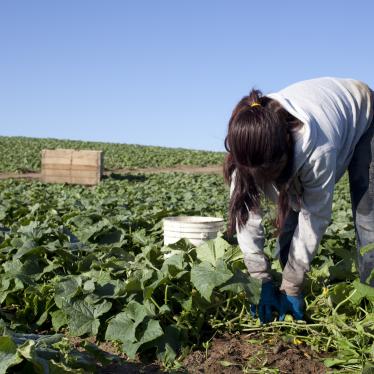 Los gobiernos deberían ratificar el Convenio sobre Trabajadores Domésticos