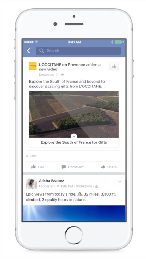 Facebook Canvas ad example from L'Occitane on mobile