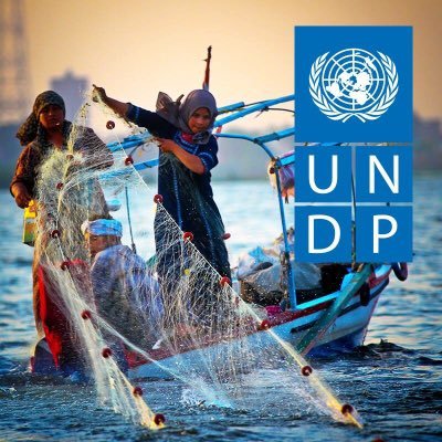 UNDP Egypt