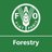 FAO Forestry