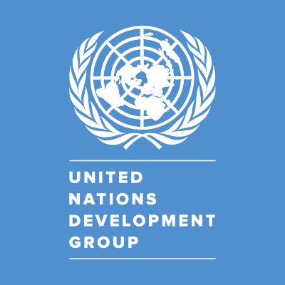 UN Sustainable Development Group