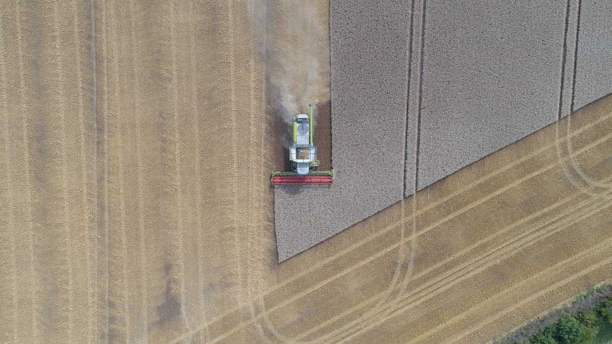 Aerial shot of a large tractor harvesting fields