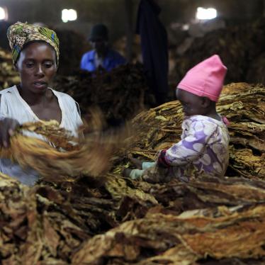 Witness: Tobacco Farmers Kept in the Dark 