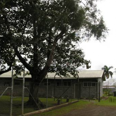 17 Dead in Mass Escape from Papua New Guinea Prison 