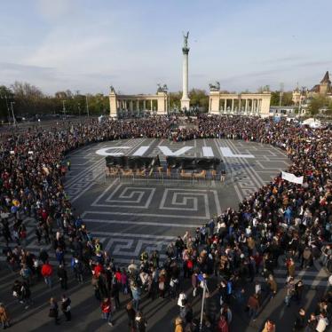 &quot;We stand in solidarity with civil society in Hungary&quot;