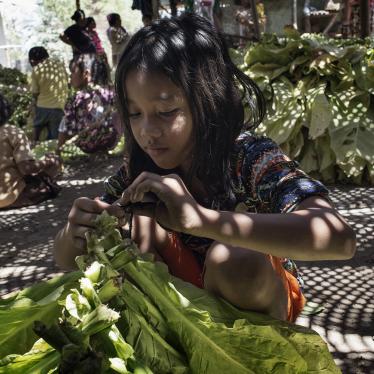 How we can fight child labour in the tobacco industry