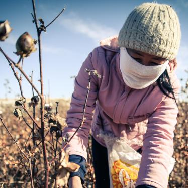 New Research Shows Forced Labor Still Rampant in Uzbekistan