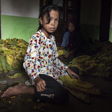 印尼烟草童工饱受危害