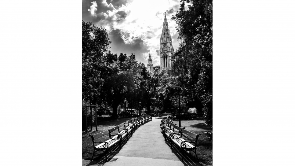 Vienna City Hall shot by Murtaza Elham, a photographer from Afghanistan.