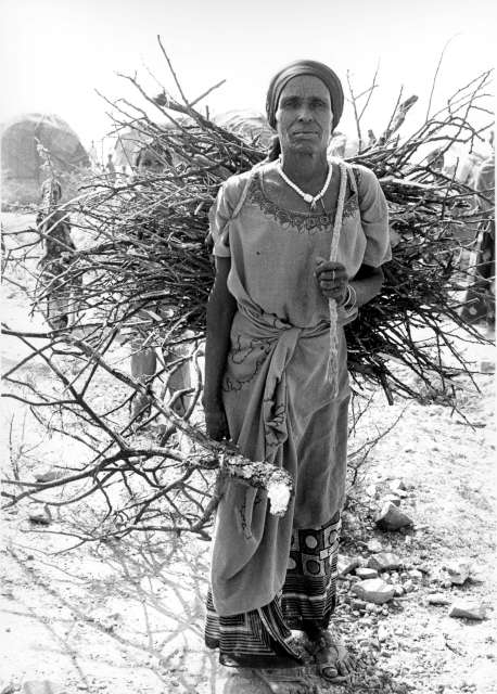 By late 1991 nearly 750,000 Somalis were sheltering in Ethiopia's Hararghe region and the need for wood became a serious environmental burden in one of Africa's most inhospitable spots. Somalia remained in crisis in 2010.