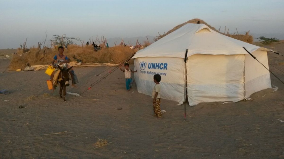 Yemen’s Brutal Conflict Pushing One Million Displaced to Return to Danger (Joint UNHCR-IOM Press Release)