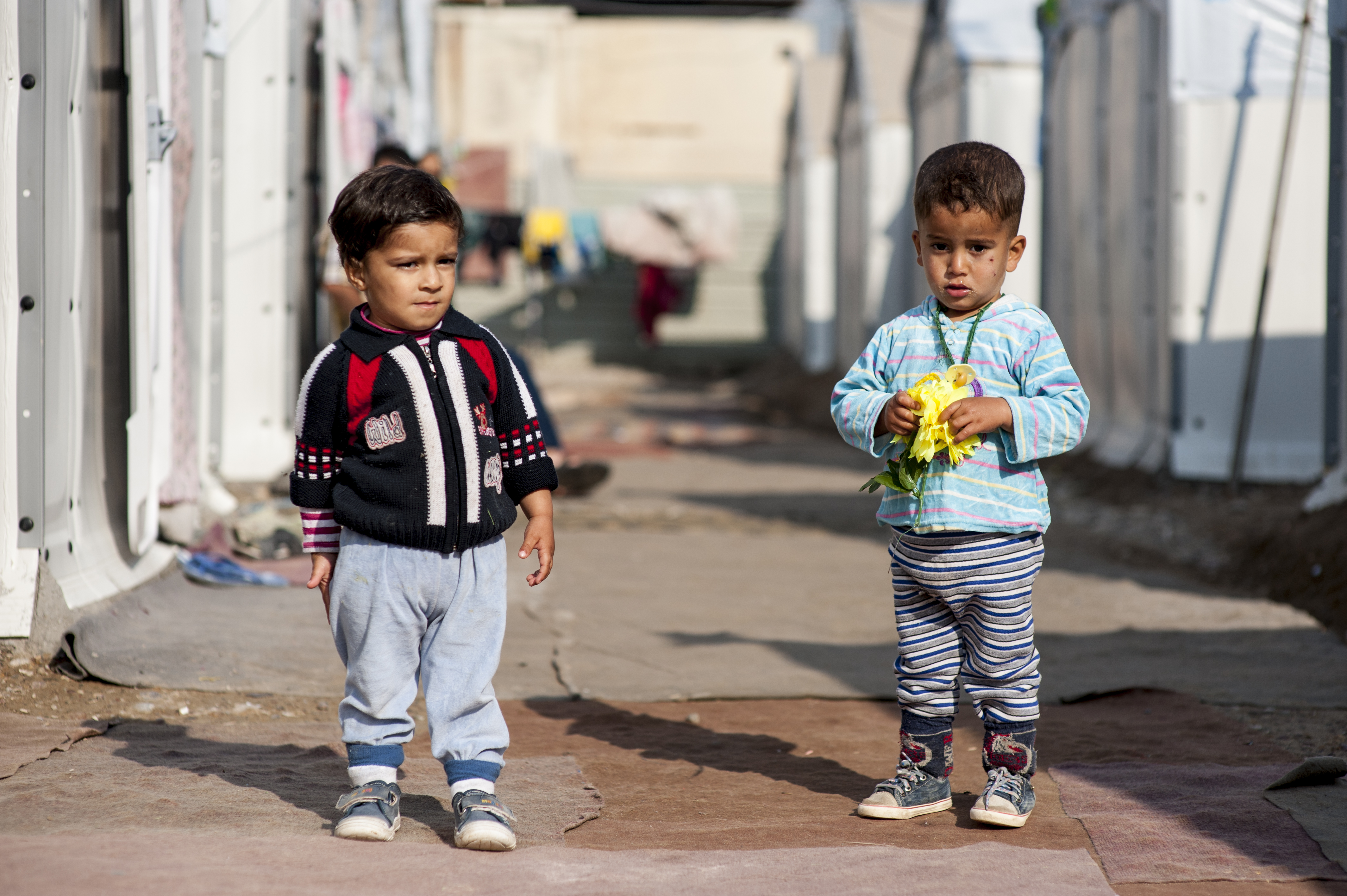 Geef een thuis aan Irakese gezinnen op de vlucht, geef een Refugee Housing Unit