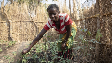 Mwansa, agée de 35 ans, produit et vend du manioc sur le marché du camp de Mantapala. 