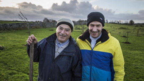 Ireland. An Irish social farming initiative giving Syrian refugee farmers an opportunity to work again