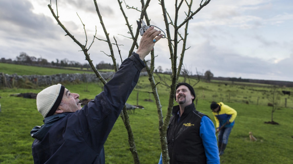 Abdulhadi et Oliver s'occupent de l'un des nombreux arbres de la ferme. 