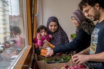 Flüchtlinge und Asylsuchende helfen bei der Wiener Tafel mit