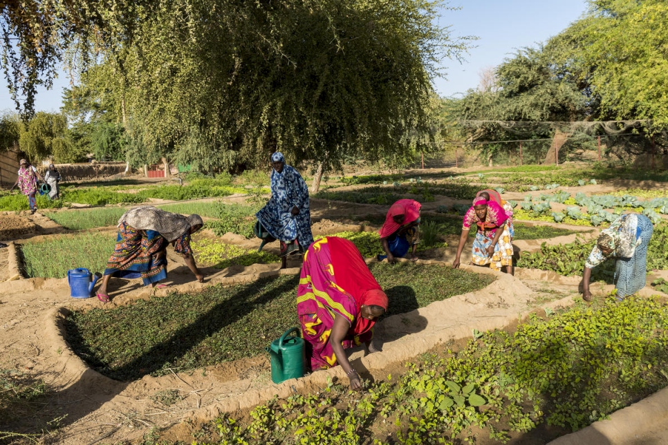 Des femmes travaillent dans le potager de Bony Ben près du fleuve Niger. Ce potager a été créé par 18 femmes du quartier qui ont fondé une association agricole, aujourd'hui financée par l'UE. 