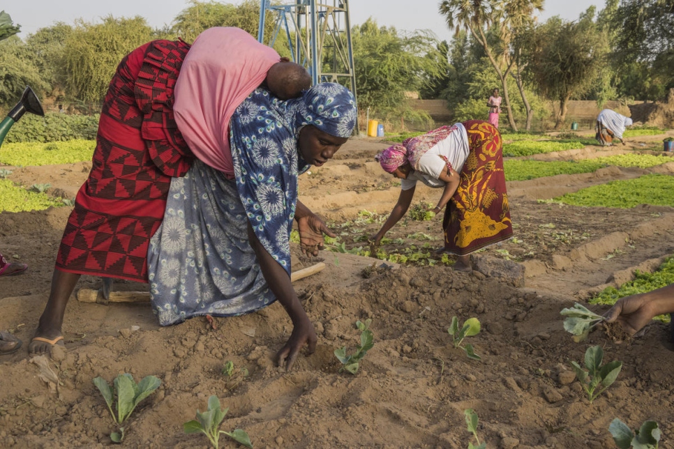 Aramitu Touré (à gauche) et Biba Soumeylou plantent des laitues. Elles sont deux des 18 femmes qui ont fondé l'association agricole Bony Ben, qui a récemment reçu une subvention de l'UE pour son potager sur les rives du Niger.