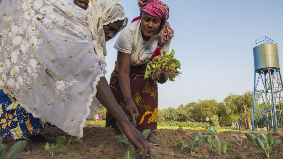 Biba Soumeylou plante des laitues. Elle a contribué à la création d'une association agricole locale.