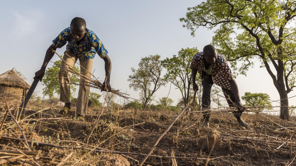 Sinali Silué (à gauche) et son grand frère, Yeo Silué, en plein travail sur la terre familiale située à plusieurs kilomètres de chez eux dans le village d'Olleo, Côte d'Ivoire. 