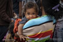 委內瑞拉難民和移民多達 4 百萬