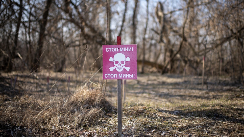 Un panneau sur lequel on peut lire « Danger Mines » dans une forêt près du village d'Ozerne, en Ukraine. 