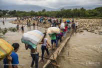 La majorité des Vénézuéliens qui fuient leur pays ont besoin de protection internationale en tant que réfugiés