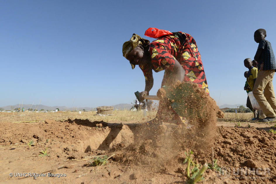 Cameroon. Reforestation operation in Minawao refugee site