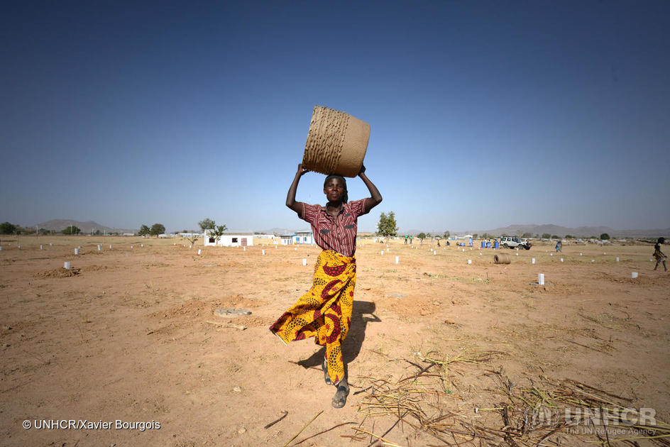 Cameroon. Reforestation operation in Minawao refugee site