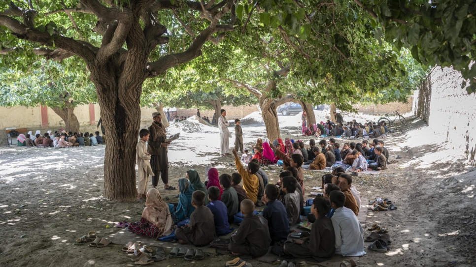 Des élèves assis à l'ombre des mûriers dans le village de Qarabagh, à proximité de Kaboul, la capitale afghane. 
