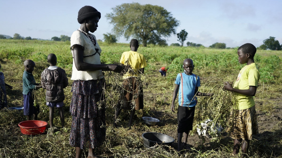 Queen Chandia a accueilli 19 enfants orphelins et réfugiés non accompagnés.