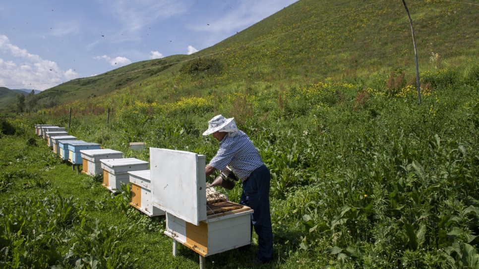 Abdusamat checks on one of his hives in the foothills of Kyrgyzstan's mountains.
