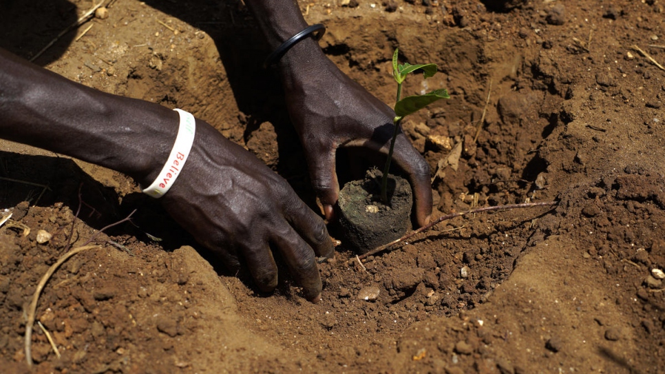 Abraham plants a tree outside his house. "Planting trees is important because trees are life," he says.