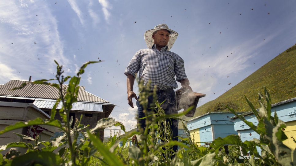 Après des années de travail dans le bâtiment, Abdusamat n'a mis que 20 jours pour construire les ruches. 