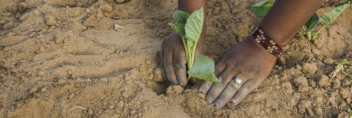 © UNHCR/Mark Henley