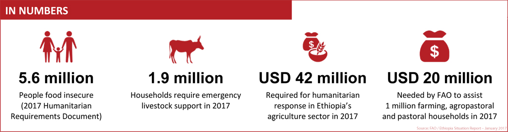 Humanitarian needs in Ethiopia