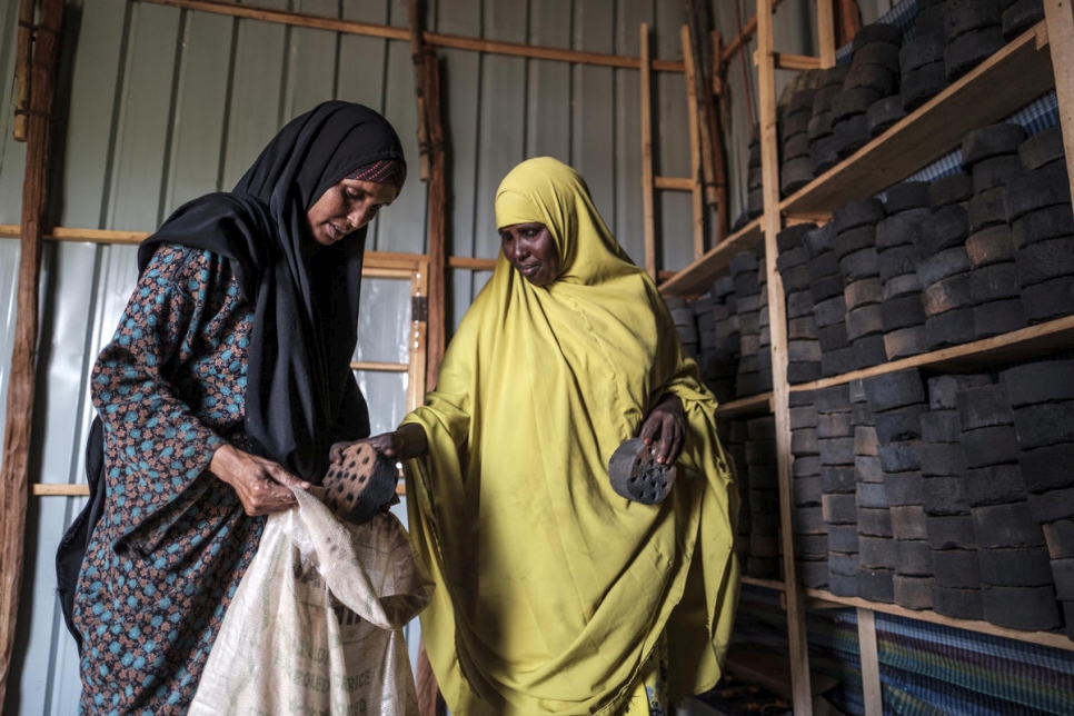 Ethiopia. Pesky weed provides energy and income for Somali refugees and hosts