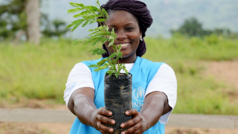 A UNHCR intern holds up a sapling, grown in a nursery at Minawao refugee camp, Cameroon, as part of the reforestation project Make Minawao Green Again.