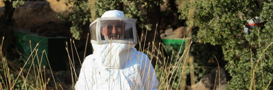 From displacement to success – this beekeeper is keeping his dream alive