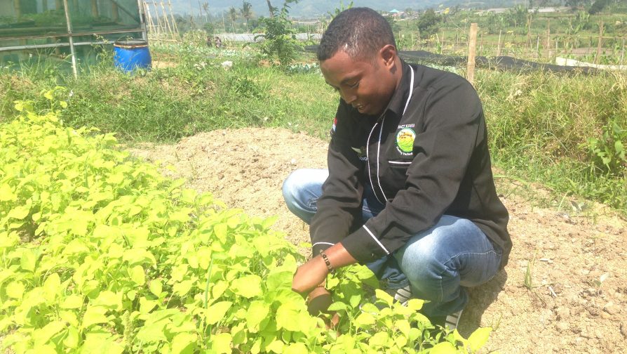 Refugee youth join Indonesians in planting seeds for a better future through organic farming