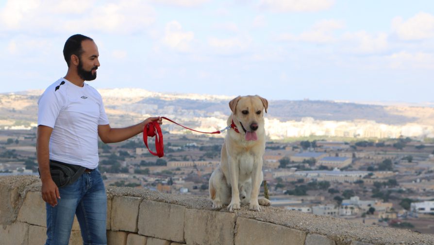 Watch: Dog trainer from Syria rebuilds his life in Malta