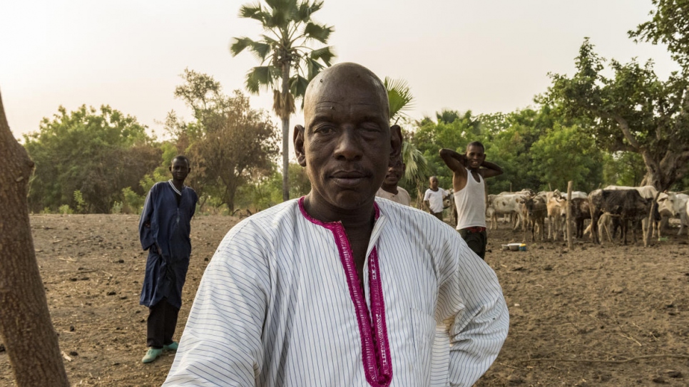 Seydou Tall, et d'autres membres de sa famille photographiés avec une partie du bétail appartenant à leur famille, Kong, Côte d'Ivoire. 